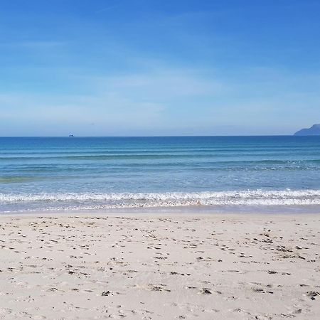 Ideal Property Mallorca - Cittadini 26 Port de Alcudia  Buitenkant foto