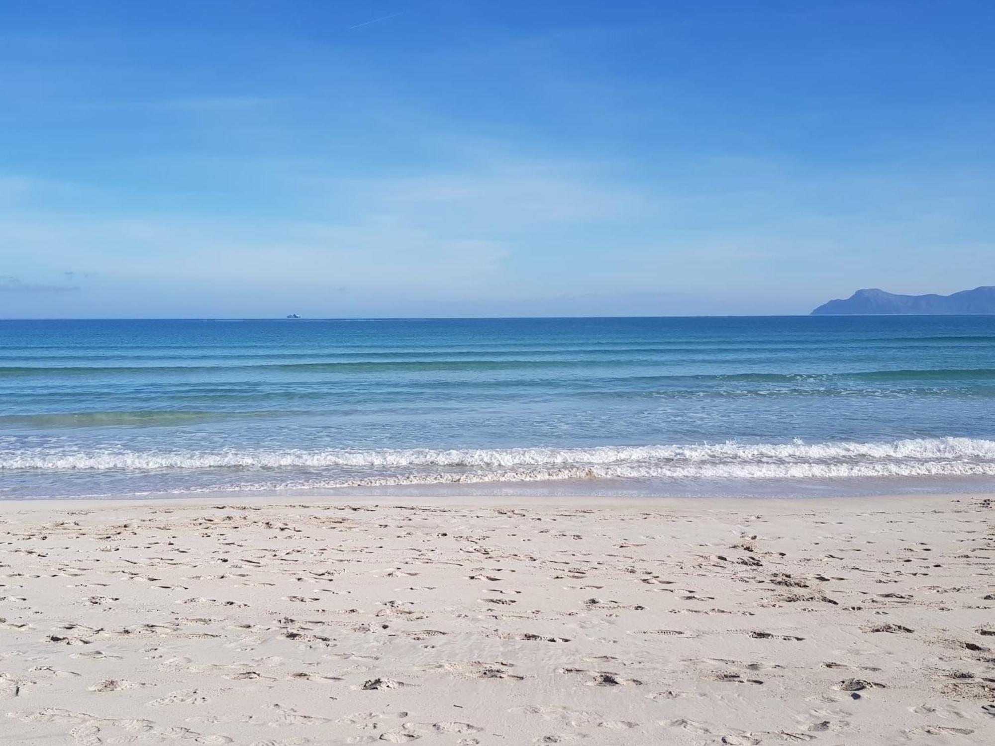 Ideal Property Mallorca - Cittadini 26 Port de Alcudia  Buitenkant foto